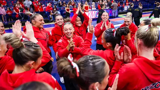 Gymnastics Team