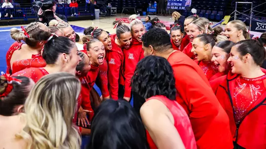 Gymnastics team