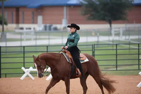 The No. 2-ranked Bears play host to Delaware State Saturday