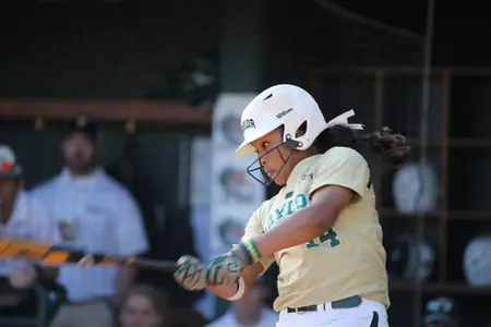 Ari Hawkins drove in four runs Saturday including the game-winner vs. Miss. St.