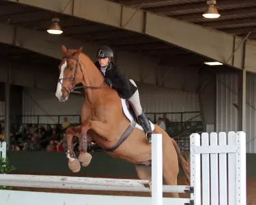 Out of Baylor's 16 regular season opponents, 15 were in last year's NCEA Championship