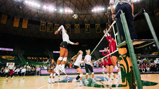 Skinner VB TTU pink night