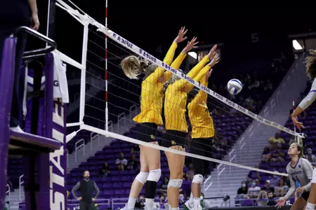 VB KSU