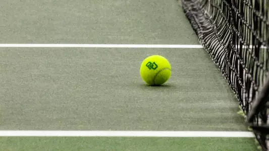 Tennis Ball