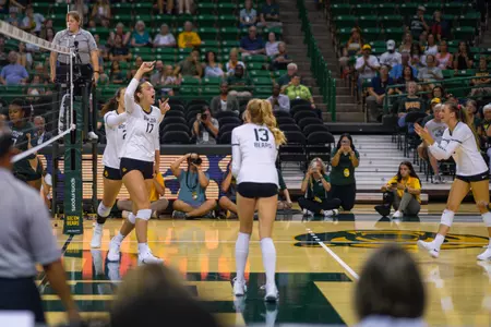 The Bears celebrate a kill by Kara McGhee.