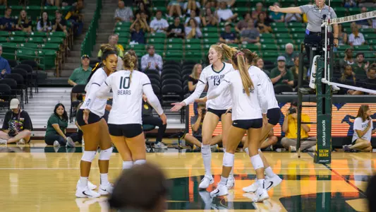 The Bears celebrate a point against Colorado State.