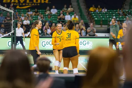 The Bears celebrate a kill by Lauren Harrison.