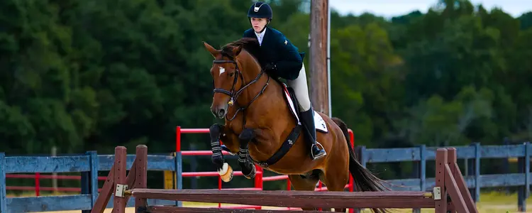 Annie Vorhies competes in a Fences ride at Georgia in 2022
