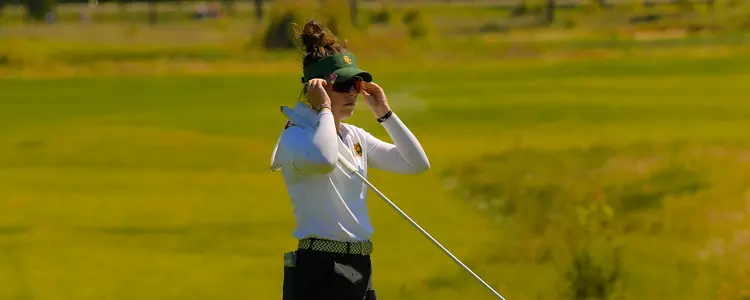 Britta Snyder Web Header
