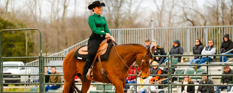 Gabrielle Marty competes in a Horsemanship ride vs OSU in 2023
