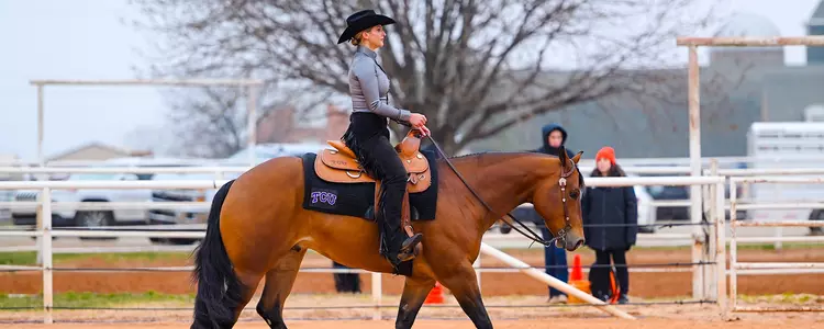 Bella Rose in a Horsemanship ride in 2023 Big 12 Championship