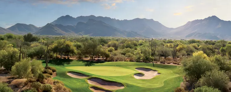 Grayhawk Photo