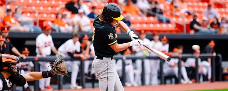 Jack Little baseball transfer