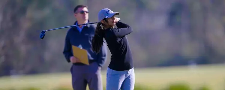 Ashleen Kaur Web Header