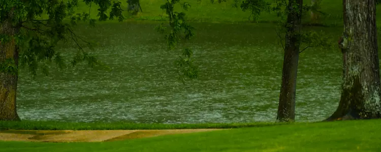 Golf Rain Shot