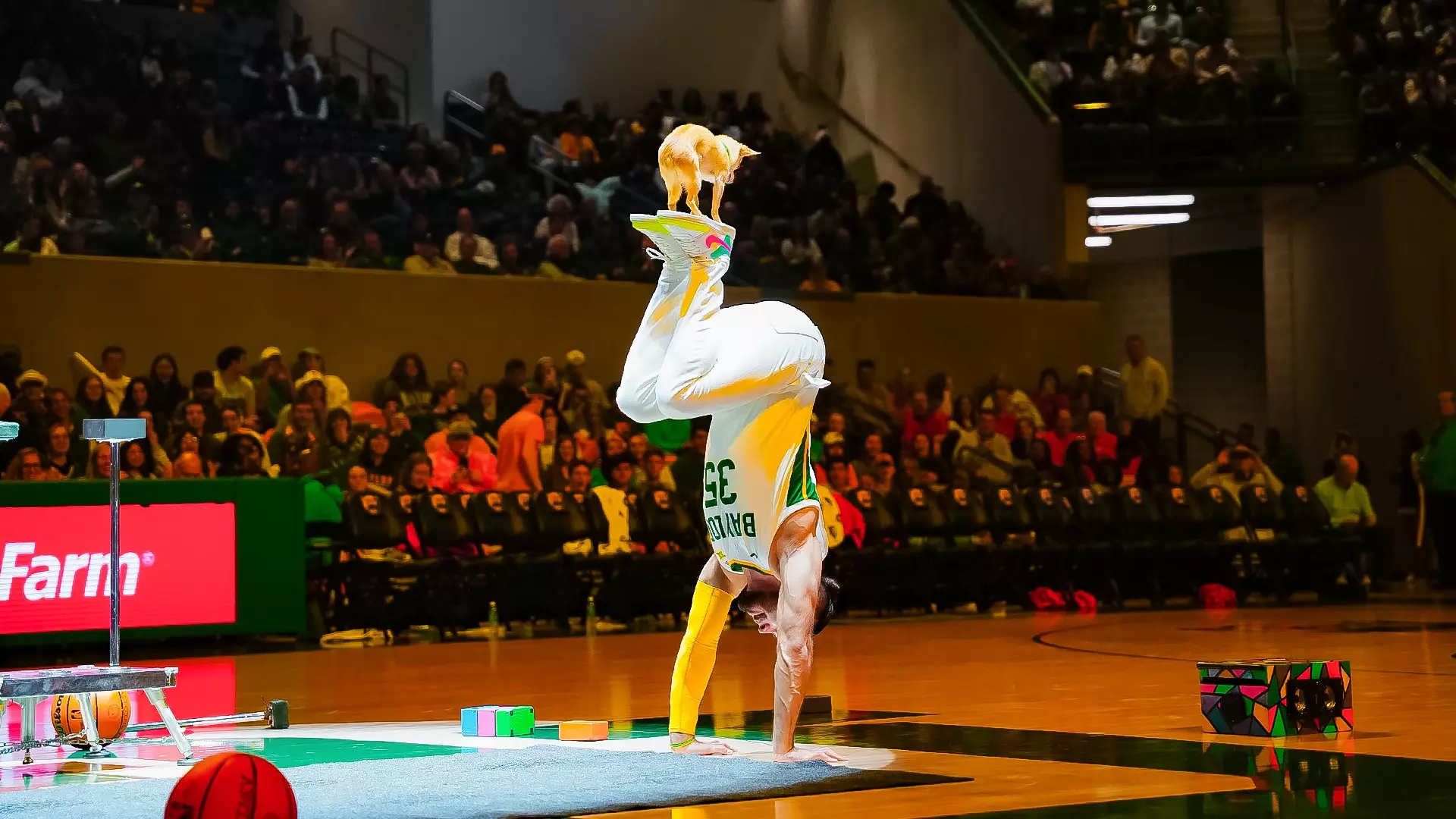 Inaugural Game - Halftime act Christopher & Scooby