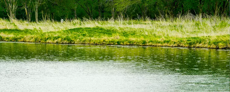 Golf Rain Photo