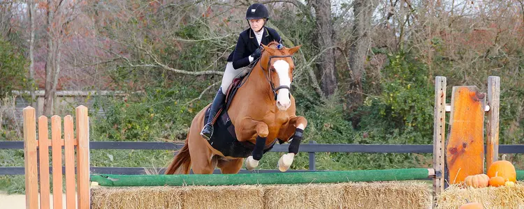 Big 12 Preview Header