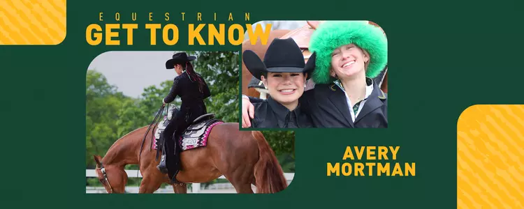 Avery Mortman GTK Web header