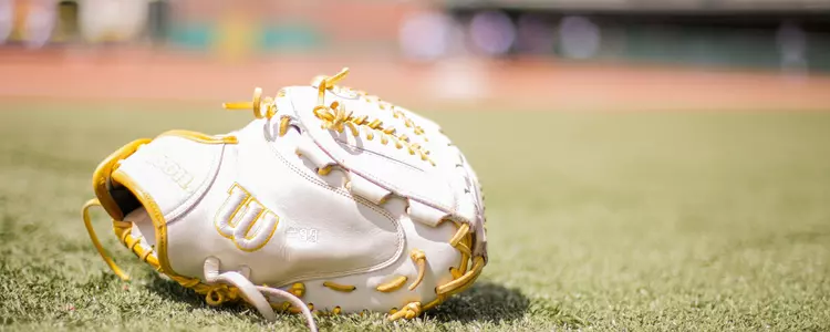 Sb Glove 2024