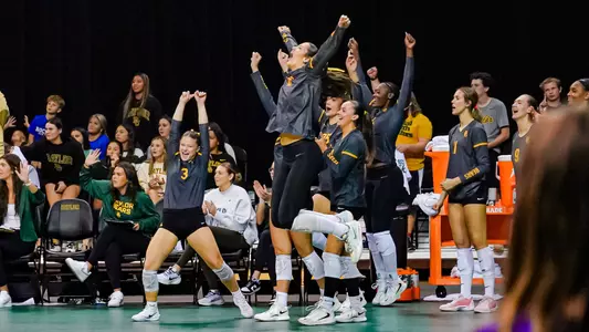 Baylor Bench Celebrates