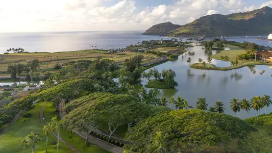 Baylor Women's Golf in Hawaii