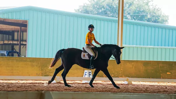 EQ Georgia Recap