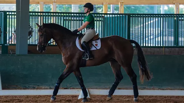 BU EQ TCU Preview