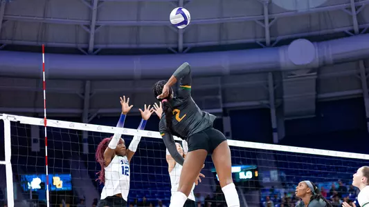 Bailey Warren Kill Net