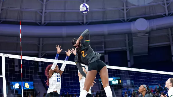 Bailey Warren Kill Net