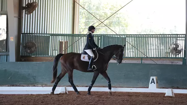 EQ at No. 5 OSU Recap