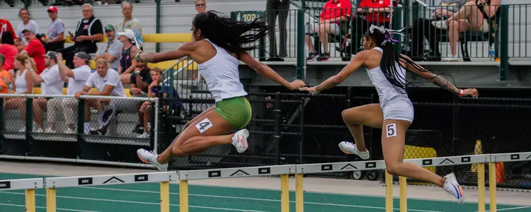 TF Hurdle
