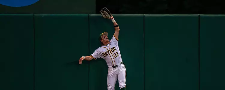 Ty Johnson robs a home run 2025