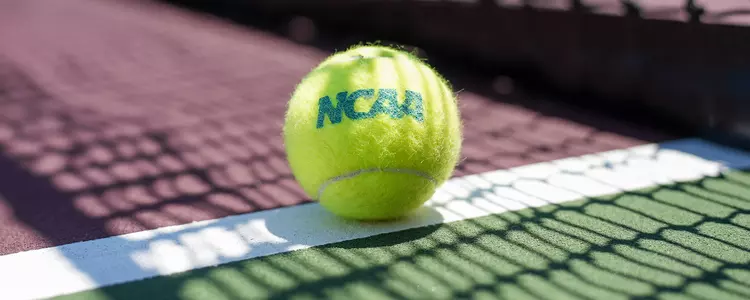 NCAA Tennis Ball