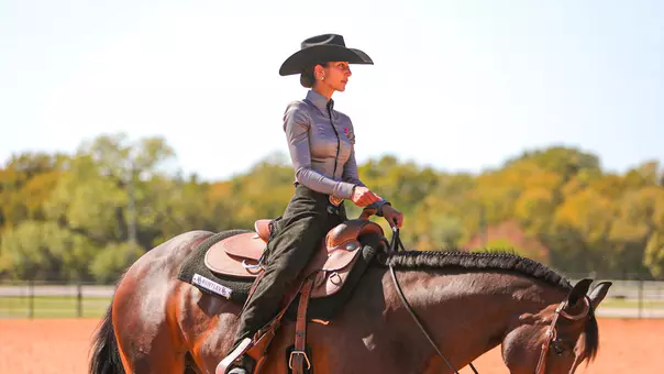 Olive Holm Equestrian 2026