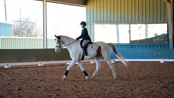 EQ Recap vs UT Martin