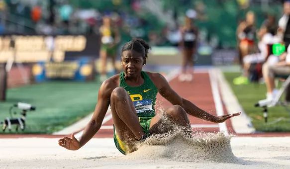 De Gannes action in 2024