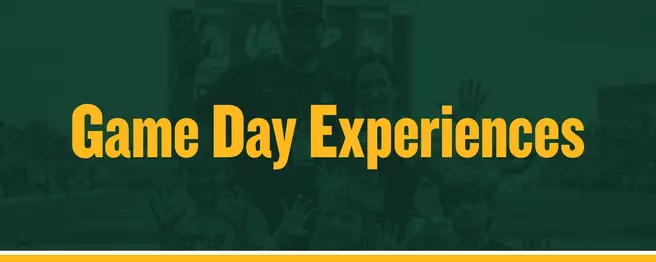 Game Day Experiences