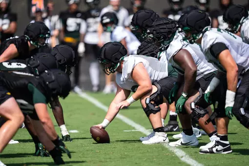 Offensive Line