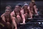 All five women's rowing crews, competed in the finals at the New England Championship.