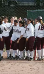 Softball Action Postponed