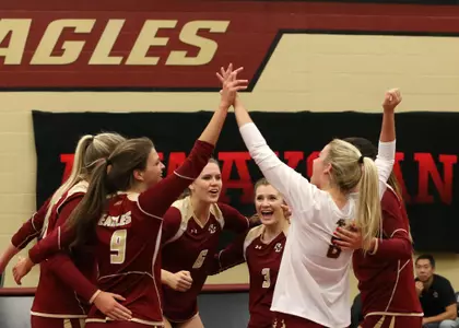 Volleyball Celebration