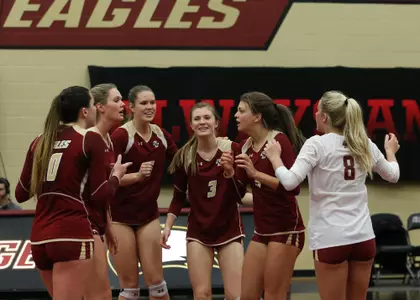 Volleyball Team Celebration