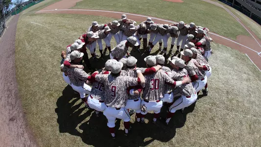 Baseball Team Huddle
