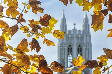 Gasson in fall