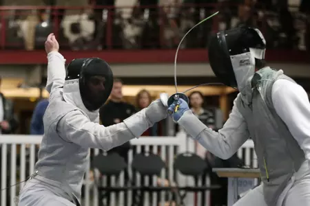 Fencing 2018