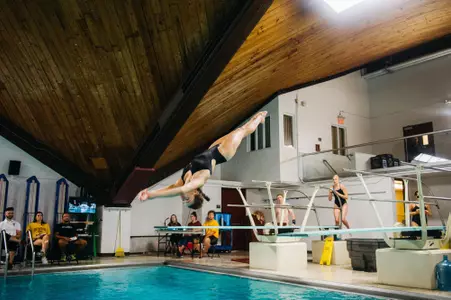 dive