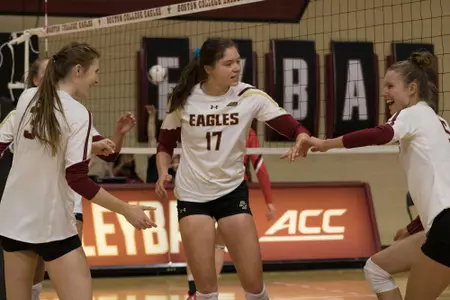 Volleyball Celebration