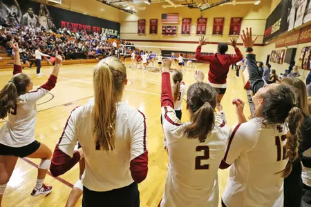 The volleyball bench celebrates vs. Duke