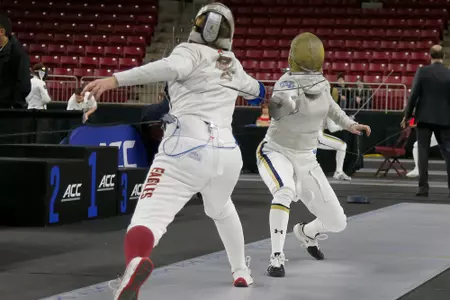 FENCING_LAWLOR